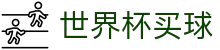 FIFA2026世界杯买球(World Cup)中国竞彩唯一授权网站